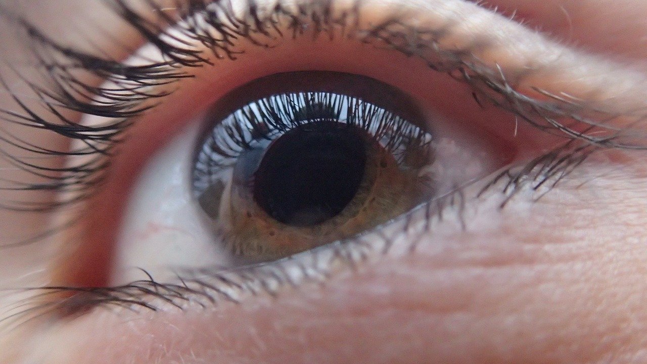 Glaucoma: o que é, quais os tipos e como se trata?