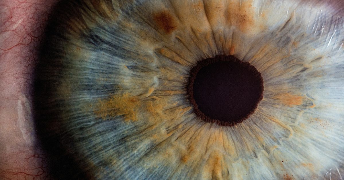 Como os olhos revelam os nossos pensamentos!