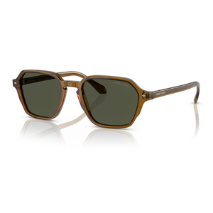 Giorgio Armani AR8220