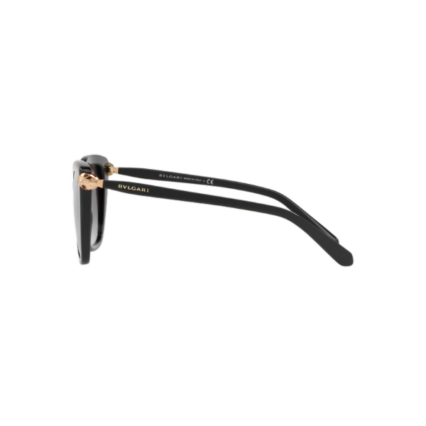 BV 8207 B 501 8G LATERAL
