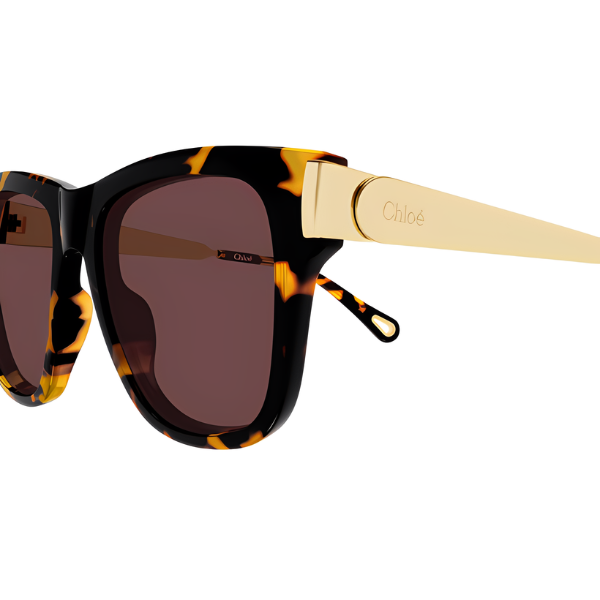 Chloé CH0349S