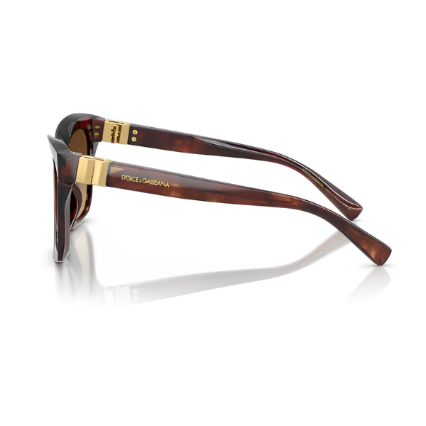 Dolce & Gabbana DG4498
