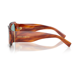 Dolce & Gabbana DG4503