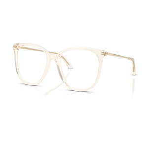 Jimmy Choo JC3060