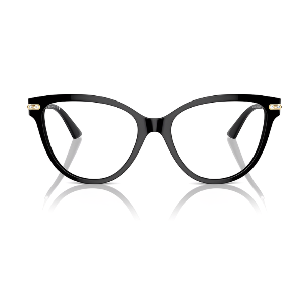 Jimmy Choo JC3001B