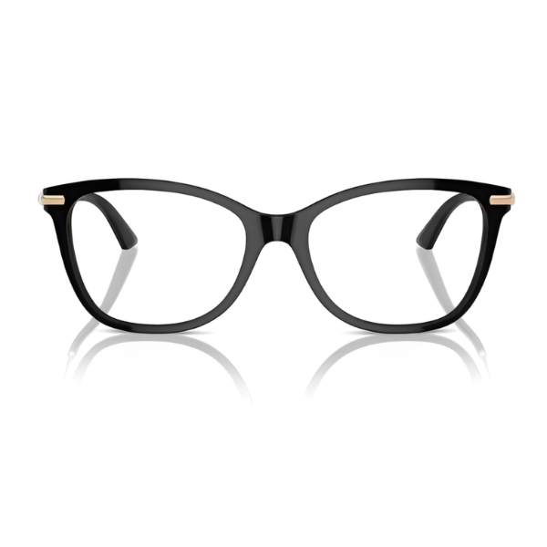 Jimmy Choo JC3007HB