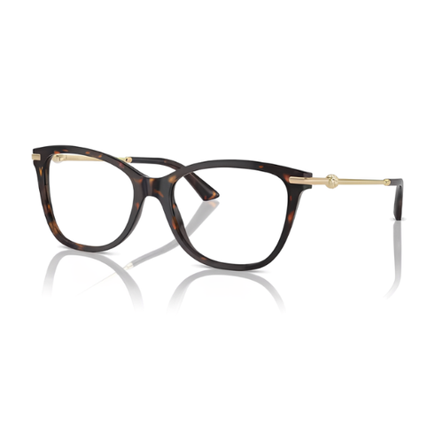 Jimmy Choo JC3007HB