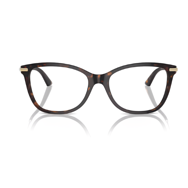 Jimmy Choo JC3007HB