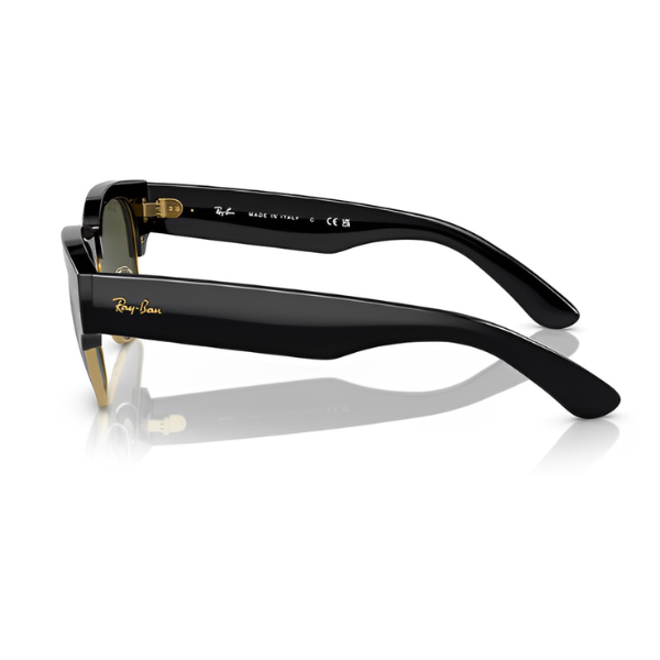 RB 0316 601 31 LATERAL