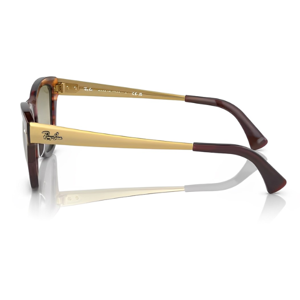 RB 0707 SM 954 G4 LATERAL