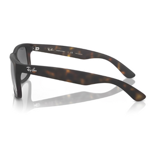 RB 4165 865 8S LATERAL