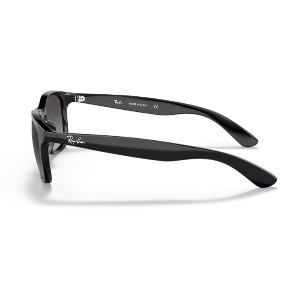 RB 4202 601 8G LATERAL