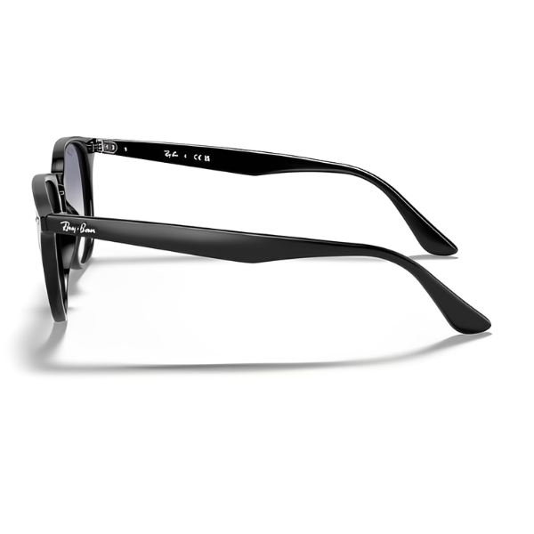 RB 4259 601 19 LATERAL