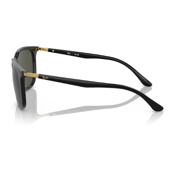 RB 4386 601 31 LATERAL