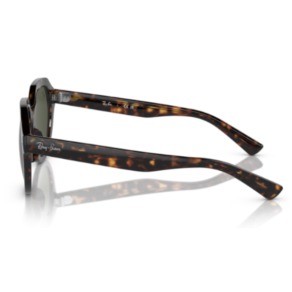RB 4399 902 31 LATERAL