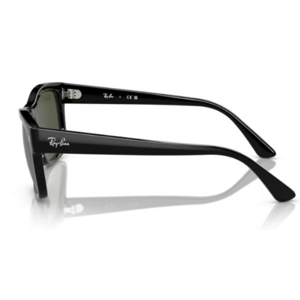 RB 4428 601 31 LATERAL
