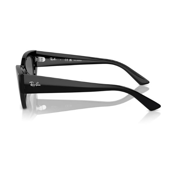 RB 4430 6677 81 LATERAL