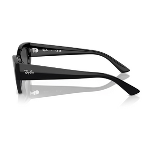RB 4430 6677 87 LATERAL