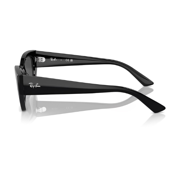 RB 4430 6677 87 LATERAL