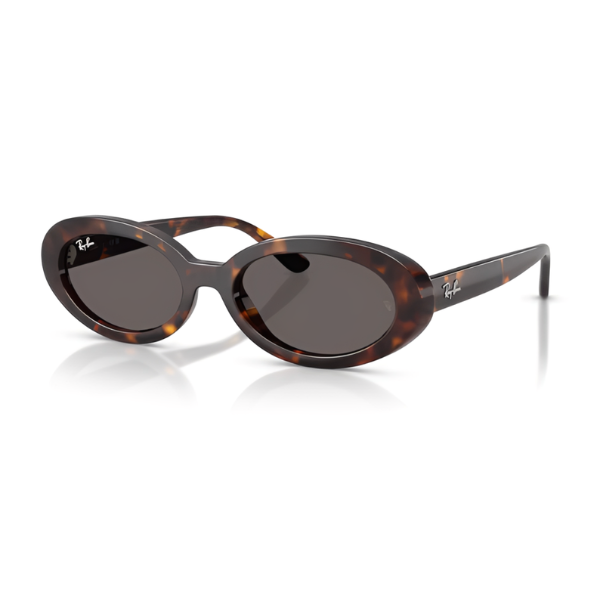 Ray Ban RB2223