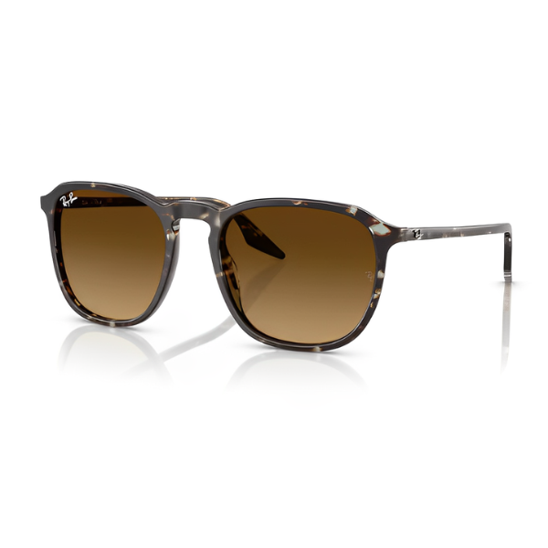 Ray-Ban RB2203
