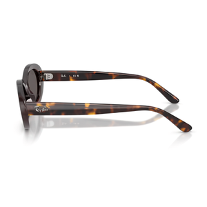 Ray Ban RB2223
