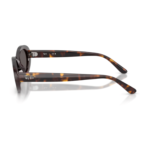 Ray Ban RB2223