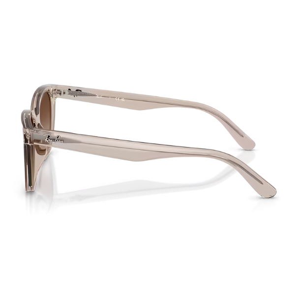 Ray Ban RB2243D