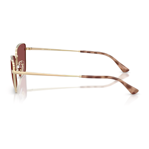 Ray Ban RB3783
