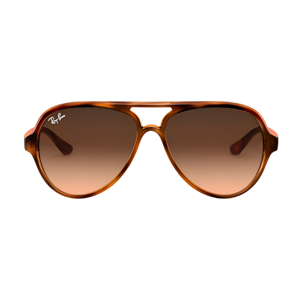 Ray Ban RB4125