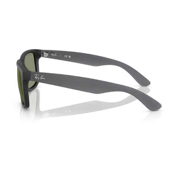 Ray-Ban RB4165 Justin