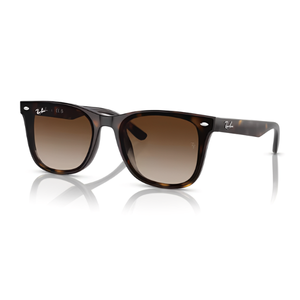 Ray Ban RB4420