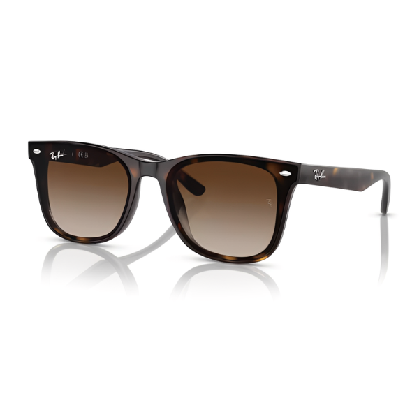 Ray Ban RB4420