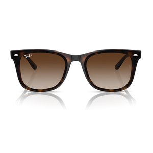Ray Ban RB4420
