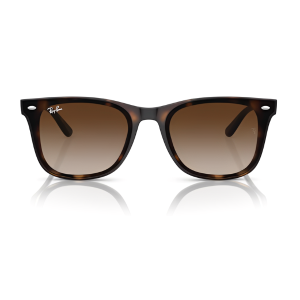 Ray Ban RB4420