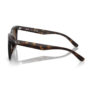 Ray Ban RB4420