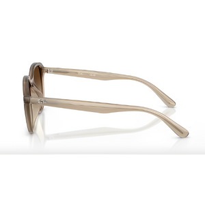 Ray Ban RB4459D