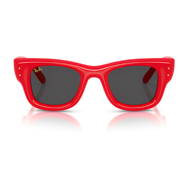 Ray Ban  RB4940 - Wayfarer puffer