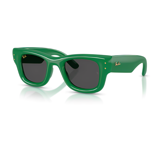 Ray Ban  RB4940 - Wayfarer puffer