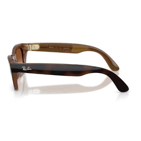 Ray Ban Meta RW4015 Zena
