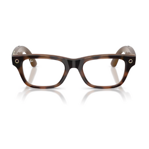 Ray Ban Meta RW7001 Blayzer