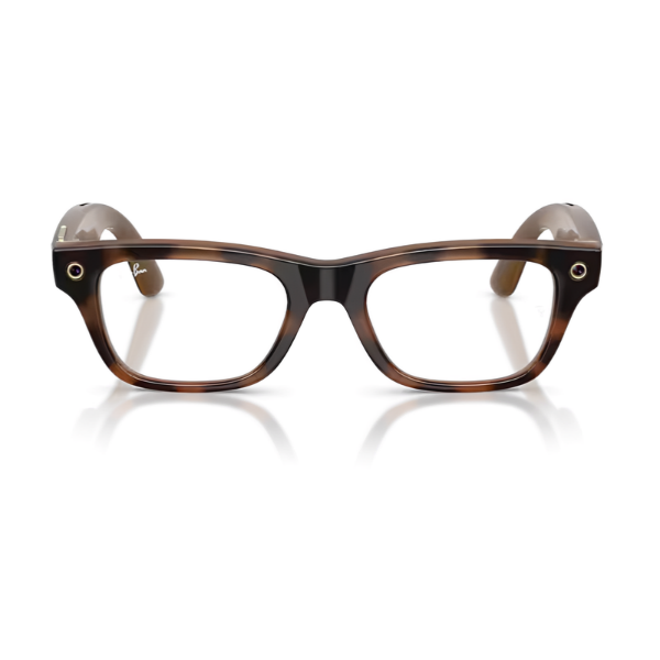 Ray Ban Meta RW7001 Blayzer