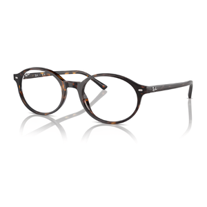 Ray Ban RX5429 German