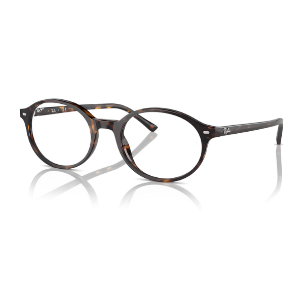 Ray Ban RX5429 German