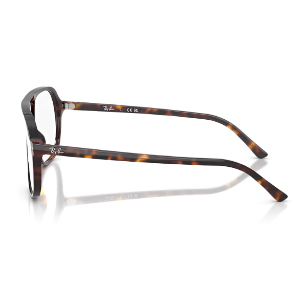 Ray Ban RX5698