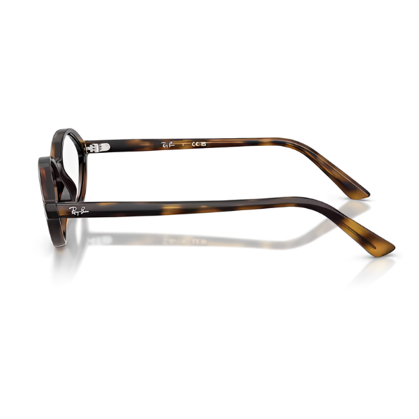 Ray Ban RX7265