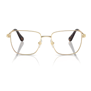 Swarovski SK1003