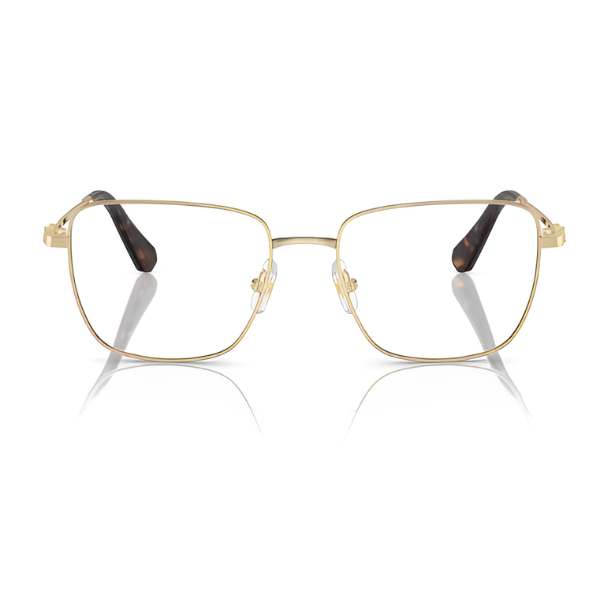 Swarovski SK1003