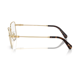 Swarovski SK1003