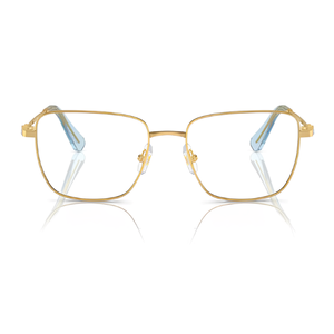 Swarovski SK1003